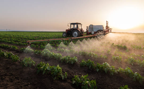 Best Commercial Pest Control Services  in De Motte, IN