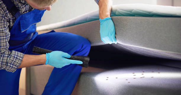 Best Local Pest Control Services  in De Motte, IN
