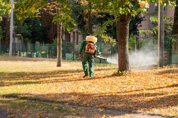 Best Affordable Pest Control Services  in De Motte, IN