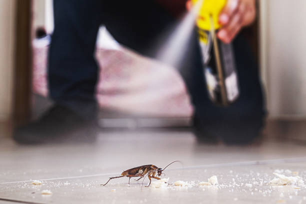 Pest Control for Restaurants in De Motte, IN