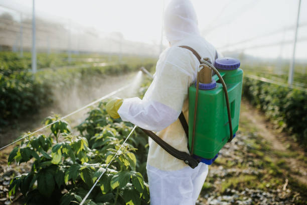 Best Pest Removal Services  in De Motte, IN